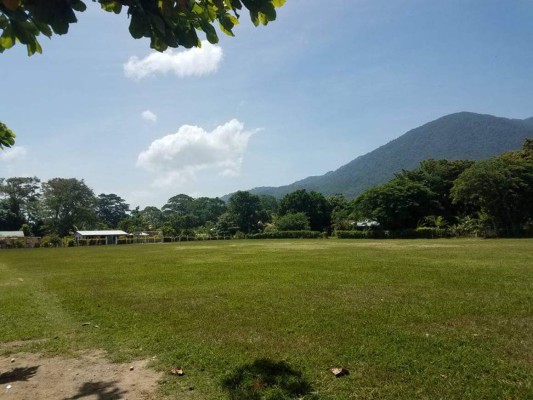 Sambo Creek, el pueblo garífuna que adoptó y sacó a 'Pery' Martínez de las calles&nbsp;&nbsp;