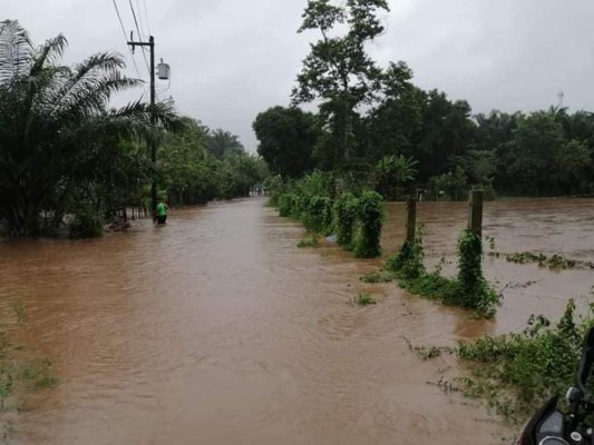 ¡Inundaciones, evacuaciones y rescates! Huracán Eta descarga su furia en territorio hondureño