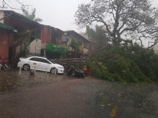 FOTOS: Caos, túneles inundados y destrucción deja fuerte lluvia en Tegucigalpa