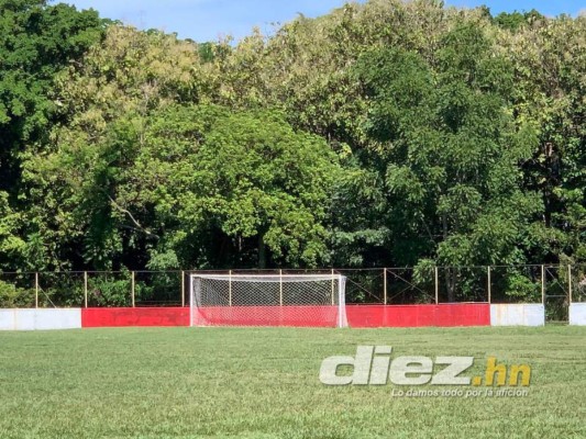 Gradería techada y cancha de primer nivel: Así será el estadio del Vida en el Campo Atlántida de La Ceiba