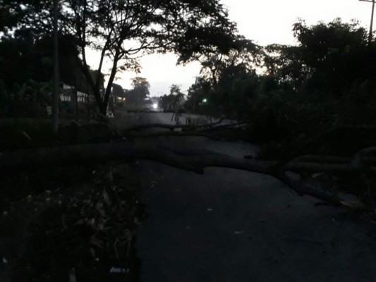 EN FOTOS: Carros quemados y carreteras tomas en casi toda Honduras