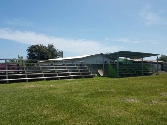 Sambo Creek, el pueblo garífuna que adoptó y sacó a 'Pery' Martínez de las calles&nbsp;&nbsp;