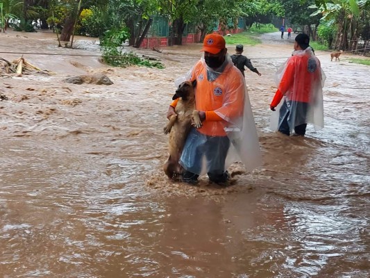 ¡Inundaciones, evacuaciones y rescates! Huracán Eta descarga su furia en territorio hondureño