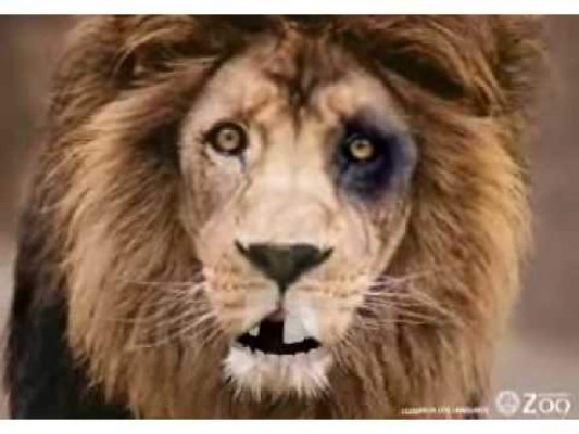 Los memes que deja la derrota del Olimpia frente al Juticalpa