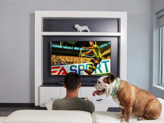 FOTOS: Roger Espinoza y su vida de viajes y lujos en Estados Unidos