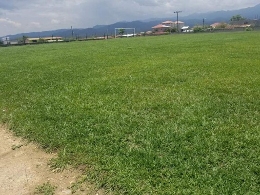 Una de estas canchas del Ascenso albergará juegos de Liga Nacional la próxima temporada