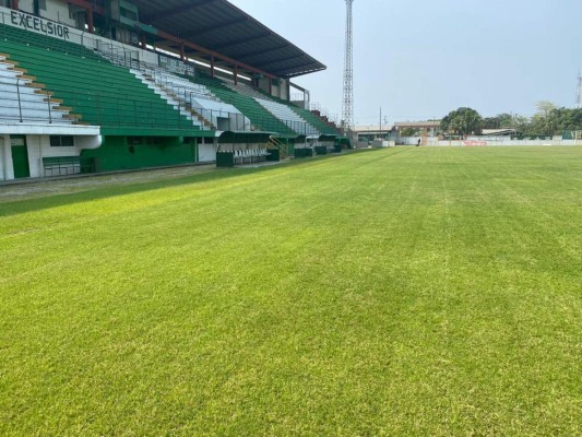 ¡El césped más verde! Así lucen los estadios de Honduras en esta cuarentena