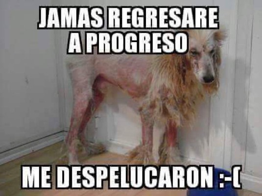 Los mejores MEMES de la derrota del Olimpia ante el Honduras Progreso