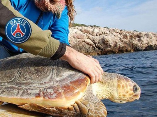 Real Madrid retira todo por Mbappé y hay fiesta en Barcelona: los memes hacen pedazos a los aficionados merengues&nbsp;&nbsp;