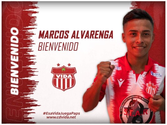 MERCADO: Últimos fichajes que se dieron previo al arranque del torneo; Olimpia y Vida siguen firmando