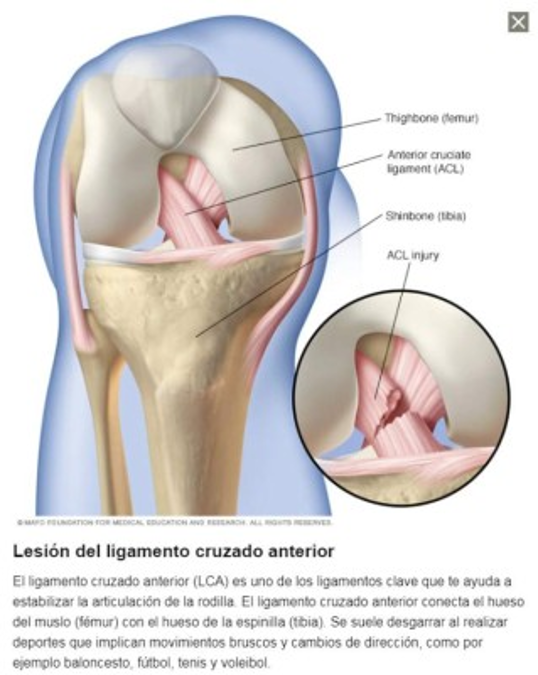 Olimpia pierde por nueve meses a Carlos Pineda; Jorge Álvarez y Diego Reyes jugarán hasta el Clausura