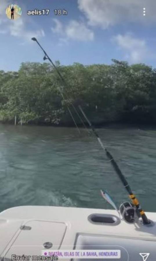 ¡Nadando con delfines! Así disfruta Alberth Elis en Roatán antes de sumarse a la Selección de Honduras