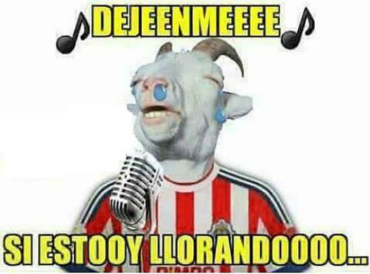 Memes estallan contra el Guadalajara tras caer humillado ante el América en el clásico mexicano