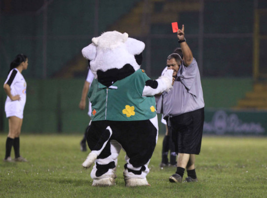 Así se vivío en el Rotagol.