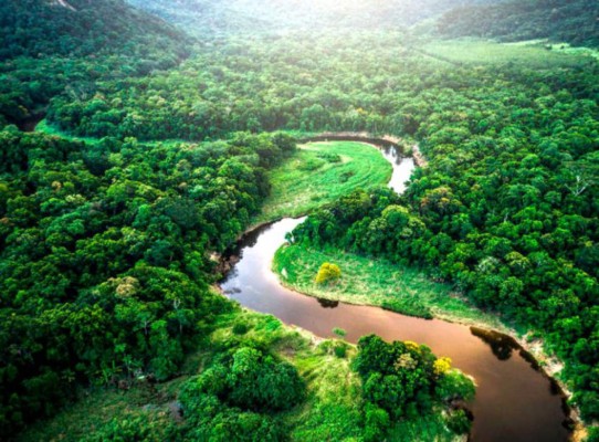 Talan bosque tropical en Manaos, Brasil para abrir cientos de tumbas por muertes de coronavirus