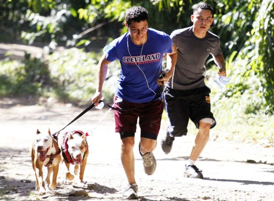 Caminata por los Pitbulls