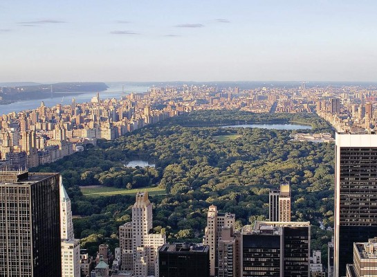 La cuarentena por coronavirus en Nueva York transforma Central Park