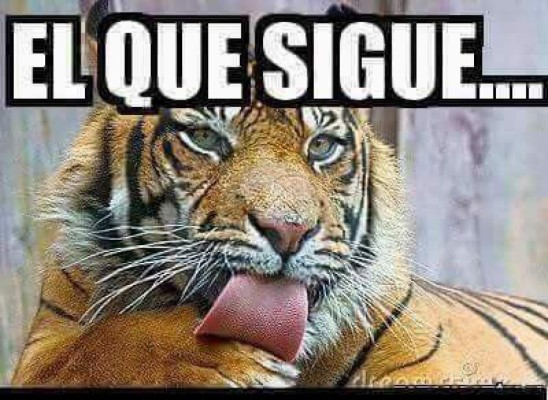 ¡Imperdibles! Los mejores memes previo a la final entre Chivas y Tigres