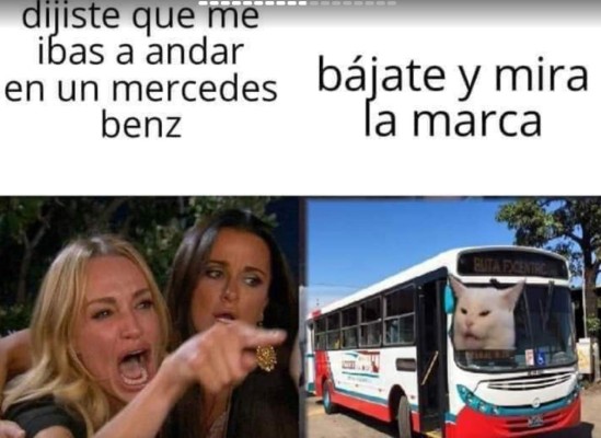 Los mejores memes del gato en la mesa y la mujer gritando, los equipos de Honduras no se salvan