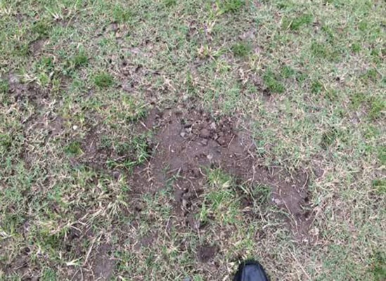 Estadio de La Ceiba está abandonado a un mes que inicie el Apertura