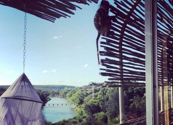 Wanda Nara se desnuda en la sabana con Mauro Icardi ¡Hasta atrajo a los monos!