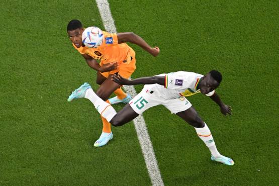 Con goles de Cody Gakpo y Klaassen, Países Bajos debuta con triunfo ante Senegal en el Mundial de Qatar