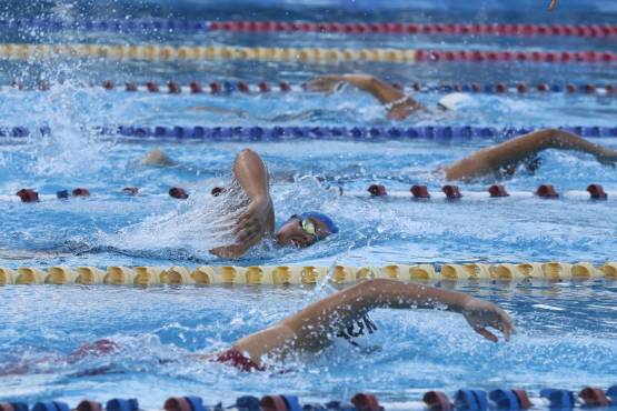 Categoría masculina