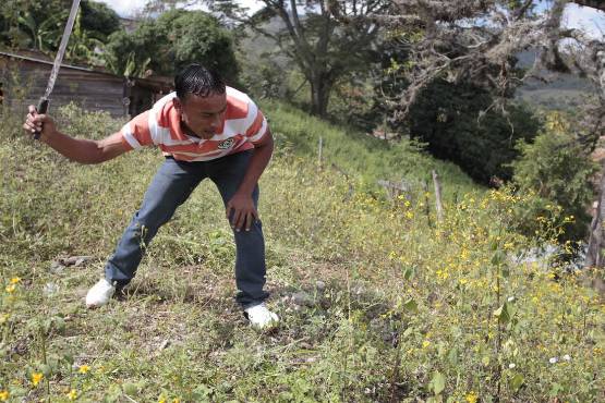 A Javier Portillo le tocó trabajar para poder sobrevivir en su natal Cantarranas.