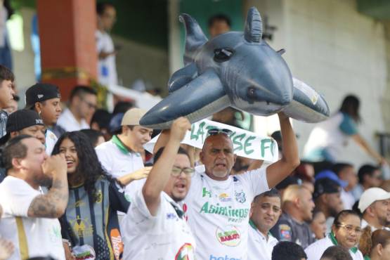 El Tiburón desea volver a primera y su afición los respalda.