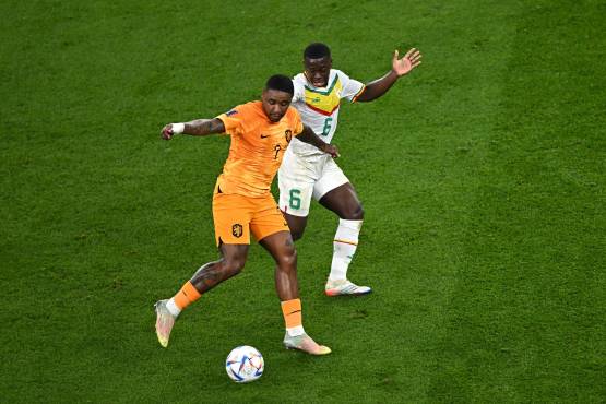 Con goles de Cody Gakpo y Klaassen, Países Bajos debuta con triunfo ante Senegal en el Mundial de Qatar