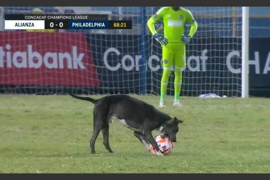 “Momentos que mantienen humilde a Concacaf”, bromeó un usuario en Twitter.