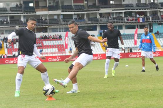 Calentamiento de los leones previo al inicio del partido.