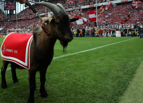 En Alemania tienen la mascota más famosa del deporte europeo