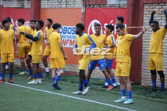 Lobos UPNFM y las razones que lo tienen prácticamente sentenciado al descenso en la Liga Nacional