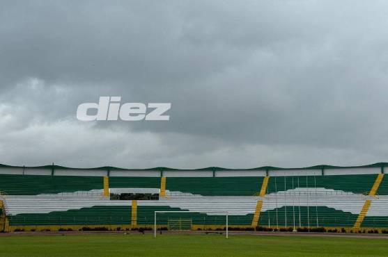 Imágenes de los trabajos que se están llevando a cabo en el estadio Olimpico. Foto: Diez