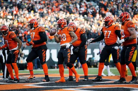 Cincinnati Bengals celebrando una de sus anotaciones.