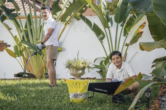 Encuentra en Fierros las herramientas y productos para que tu jardín luzca impecable en Navidad.