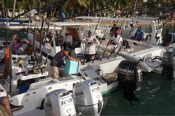 La embarcación Barana apunta al bicampeonato en el Torneo de Pesca Roatán: pescaron dos Blue Marlin
