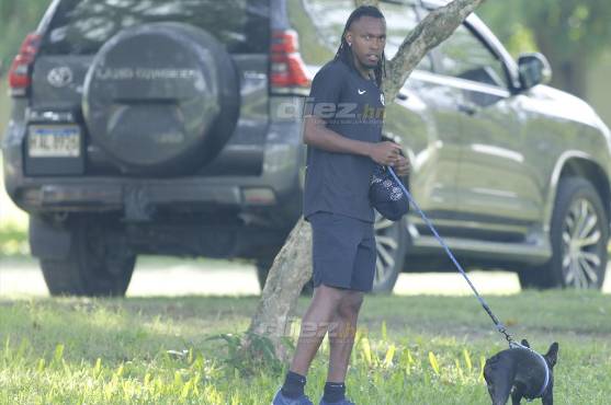 Drako se ha convertido en un fiel amigo para la Panterita.