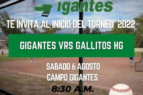 El inicio será mañana y no te puedes perder los primeros duelos de Liga de Beisbol Menor Metropolitana.