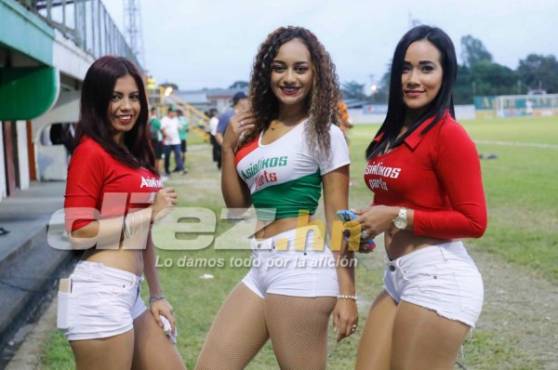 Las mujeres hermosas se han hecho presente al estadio Excélsior.