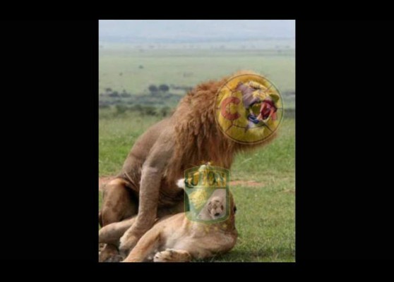 MEMES: América pide al Barcelona tras darle tremenda goleada al León