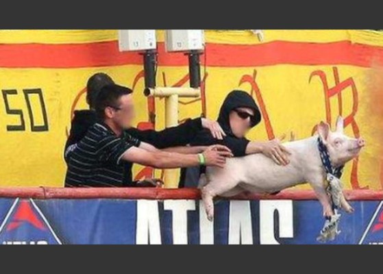 Las 10 cosas más extrañas lanzadas a un campo de fútbol