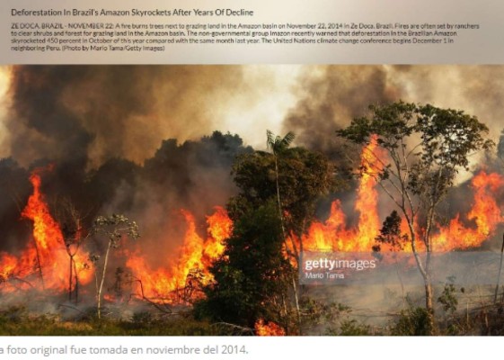 Las fotografías engañosas sobre los incendios que arrasan la Amazonia de Brasil