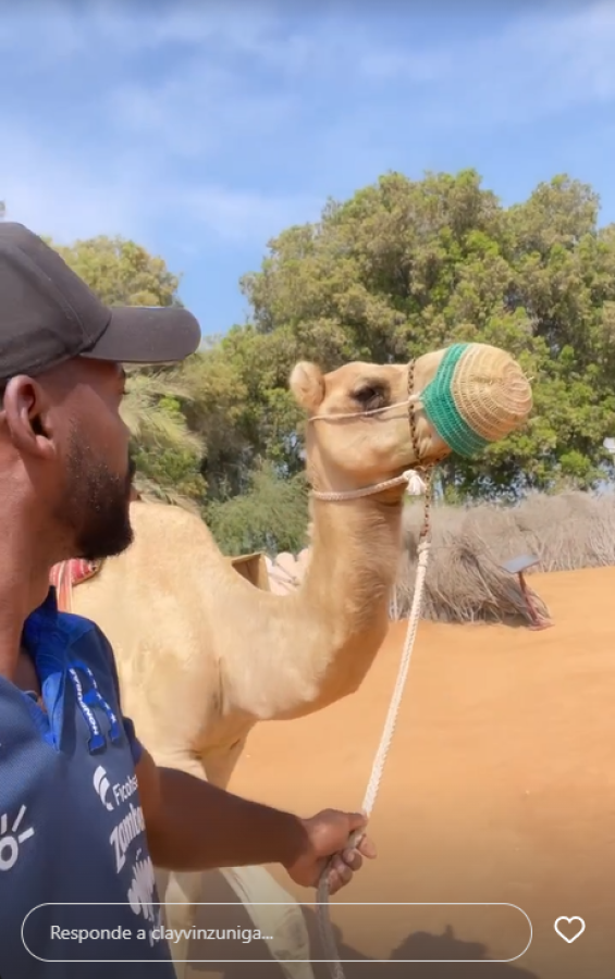 Sobre camellos y vestidos de árabe: las exóticas aventuras de la Selección de Honduras en la lujosa Abu Dabi