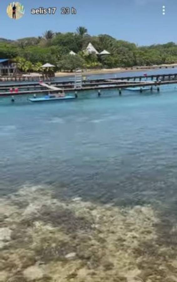 ¡Nadando con delfines! Así disfruta Alberth Elis en Roatán antes de sumarse a la Selección de Honduras