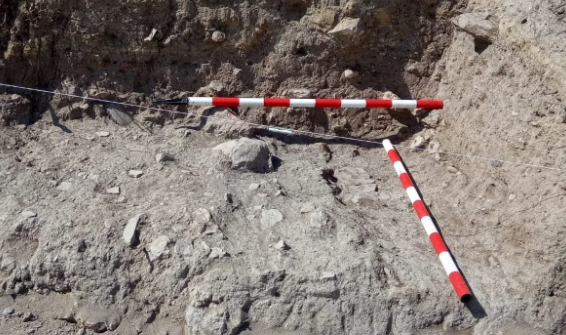 El siniestro hallazgo en el terreno donde Piqué está construyendo su hotel de lujo