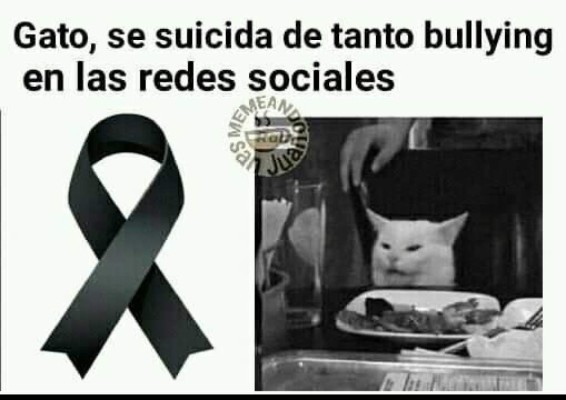 Los mejores memes del gato en la mesa y la mujer gritando, los equipos de Honduras no se salvan