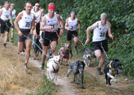 Los deportes más bizarros y locos del mundo