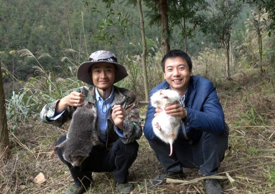 Las enormes ratas que China tenía preparadas como plato gourmet antes del coronavirus
